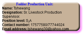  Fodder Production Unit: Name: Tshewang Designation: Sr. Livestock Production Supervisor. Position level: S2A Contact number: 17577580/77744024 Email address: tshewang30@yahoo.com